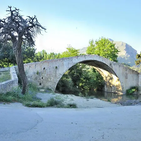 Anthos